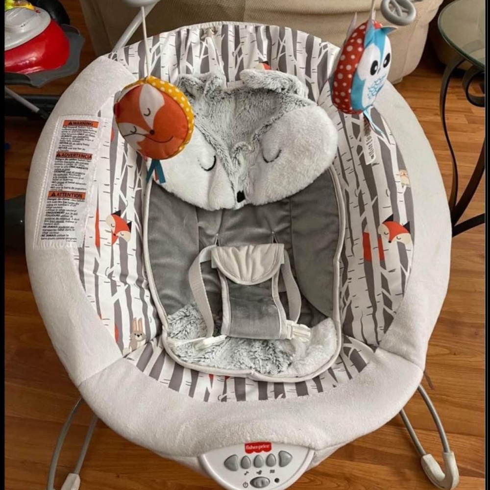Fisher-Price peekaboo deluxe bouncer